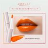 FASIO 004 Paradise Mango One Day Art Makeup Rouge 0.2 oz (5.5 g)
