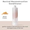 BRAE - Revival Conditioner, Professional 1L
