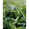 Noah Number 9.0 Hair Colour Dye, Extra Light Blonde 140 ml