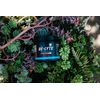 REDMOND Re-Lyte Hydration Electrolyte Mix (Strawberry Lemonade)