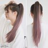 Brightlele f105-RTE Wig, Ponytail, Long, Natural, Clip, Gradient Ponytail Wig