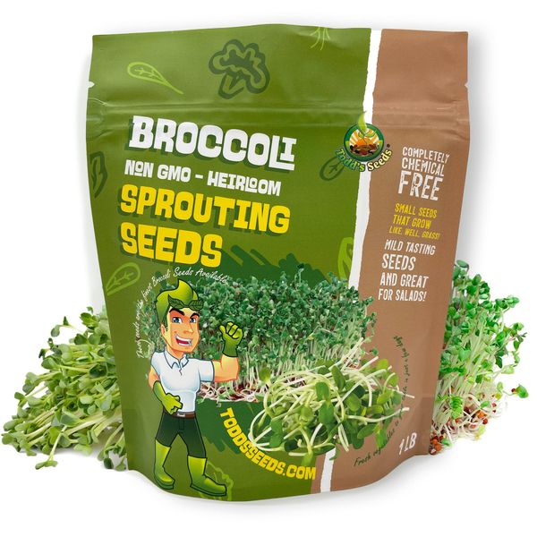 Todd’s Seeds - Calabrese Broccoli Sprouting Seeds, 1 lb - High in Sulforaphane, Non-GMO, Heirloom Variety - Bulk Seeds for Nutrient-Rich Sprouts & Home Gardening (Chemical Free - Better than Organic!)