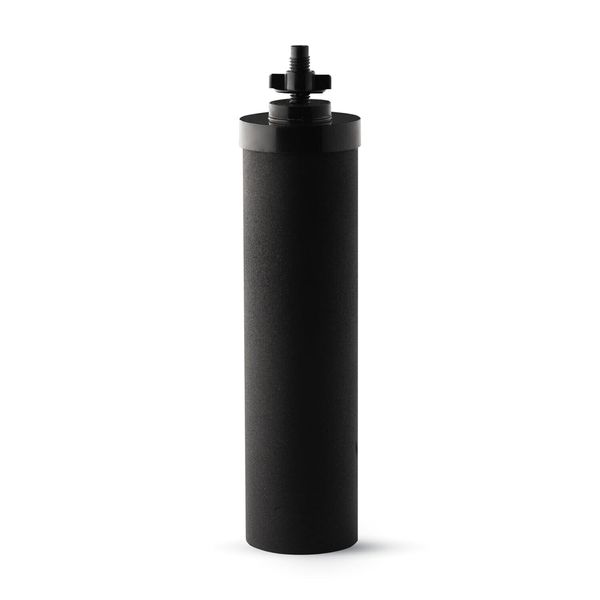 iSpring FDGF2 Activated Carbon Water Filter for iSpring DGF2 Gravity-fed System