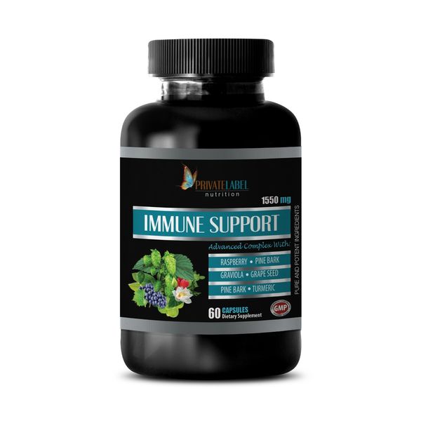 anti inflammatory supplement - IMMUNE SUPPORT PILLS - vitamin c 1BOTTLE