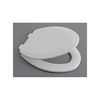 Toilet Seat, Closed Front, 18-29/32 In.