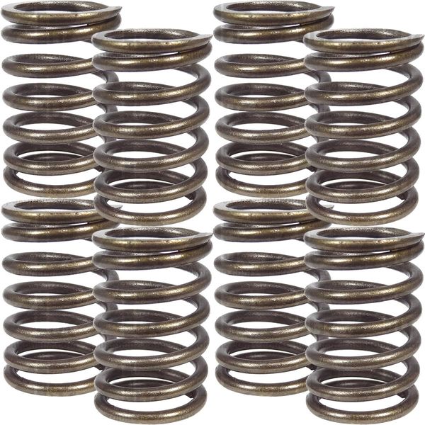 8x Valve Spring Outer Replacement for Landini Advantage Rex Trekker Vigneti 60 65 75 Tractor