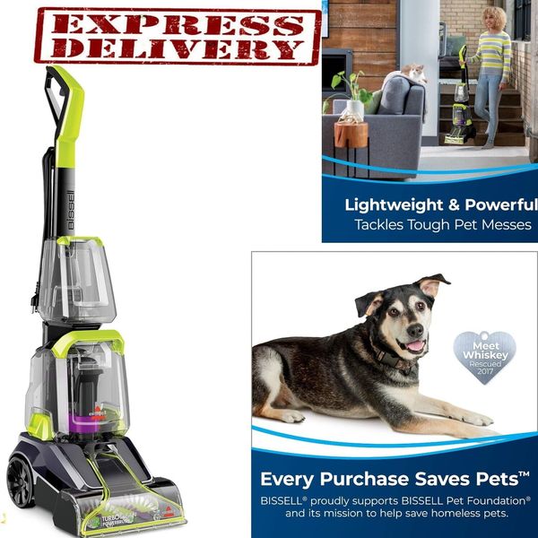 Pet Carpet Cleaner Upright Scrub Brush Shampooer Water Dog Cat Home Clean