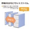 Plus Flat File, A4 Vertical, 2 Holes, Back Width Extendable Cenobus EX PP 89-098 Blue