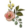 Sizzix Thinlits Die 665208 Bloom Colorize by Tim Holtz 17 Pack, Multicolour, One Size