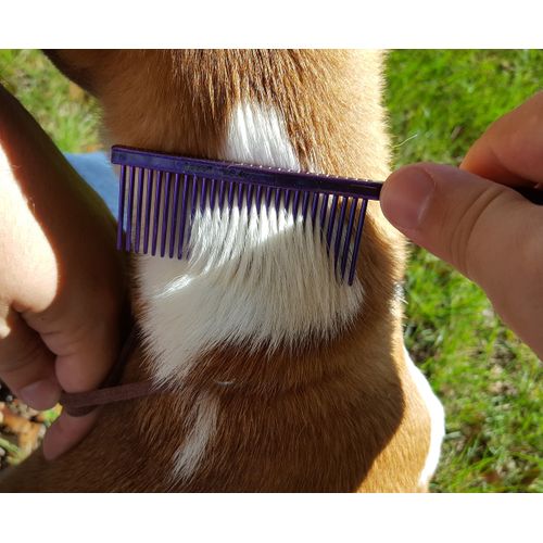 Resco Professional Anti-Static Dog, Cat, Pet Comb for Grooming, Steel Pins, Fine Tooth Spacing, Candy Blue