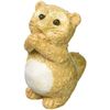 Please Belly White Raccoon (Small) 563 – 04