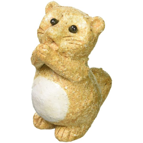 Please Belly White Raccoon (Small) 563 – 04