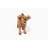Midlee St. Patrick's Day Shamrock Dog Tennis Balls (Regular)