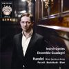 Handel: Nine German Arias
