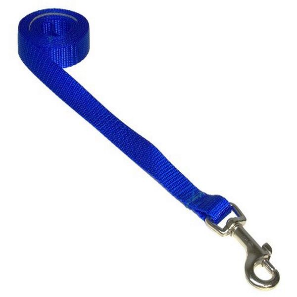 XSmall Blue Nylon Webbing Dog Leash: 1/2" Wide, 4ft Length - Made in USA.