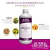 Buried Treasure Elderberry ACF 16 oz, Immune Support