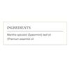 Spearmint Essential Oil 5ml by Young Living - Provides Aromatic Comfort, Digestive and General Wellness Support, Massage Oil, Diffuse it with Citrus Fresh, Refreshing Scent