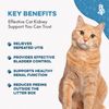 Cat UTI Remedy & Kidney Support for Cats