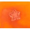 Holler and Glow Counting Stars, Starfish Shaped Bath Fizzer