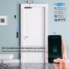 Wi-Fi Access Control 380lb Holding Force Magnetic Door Lock  with smart control