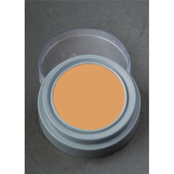 Skin Tone Complexion B1 Professional Grease Paint Creme Make-Up 2.5ml