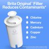 Large Water Filter Pitcher for Tap and Drinking Water, Includes 1 Standard Fi...