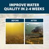 PondClear Packets Beneficial Bacteria & Enzyme Clarifier Treatment Safe for Fish