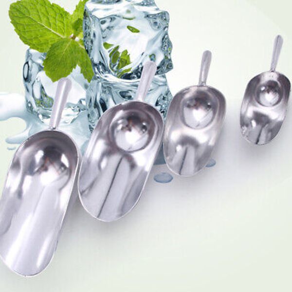 Ice Scoop Food Metal Shovel Cube Tray with Lid Mini Stainless