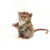HANSA - Tarsier