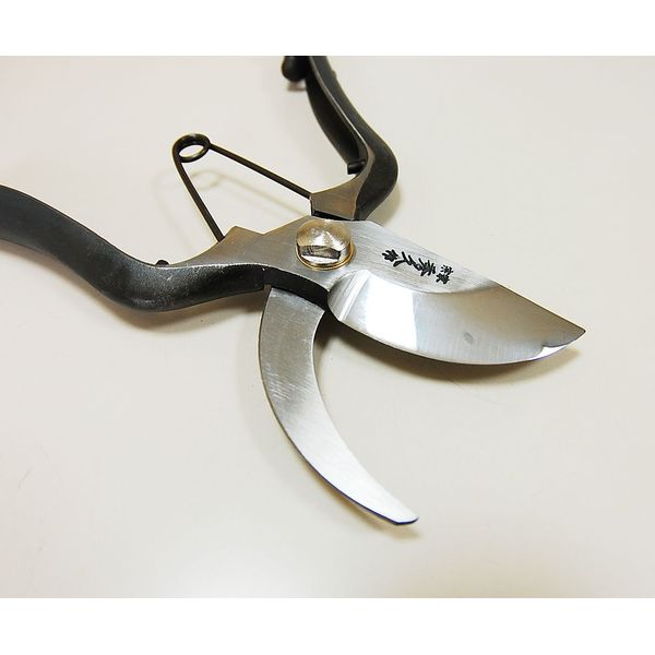 Soke Hidehisa for professional pruning shears TH200 Fri stop