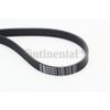 Contitech 6PK1715V-Ribbed Belt, Black