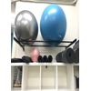 Wall Mounted Gym Ball Holder Balance Ball Organizer Pilates Fitness Studio Gym Yoga Organizer Storage Rack, 124CM Black