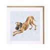 Wrendale Designs - 'Scooby' Card