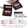 Teak Brush for Compact Use (Powder Brush, Face Brush, Blush, Horse Hair, Portable, Made in Japan) [MC Collection]
