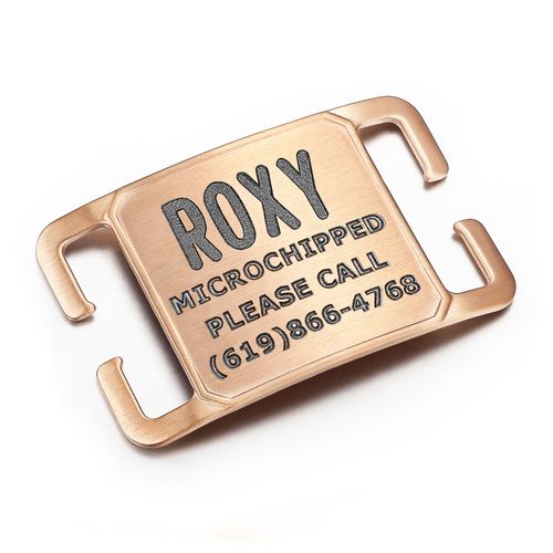 Leash King Deep Laser Custom Font Engraved Slide - No Noise Collar Tags, PVD Rose Gold Stainless Steel, 5 Lines of Personalized Text - Pet ID Name Tags for Dogs & Cats - Medium