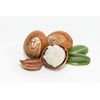 Raw Shea Butter From Ghana - 16 Oz