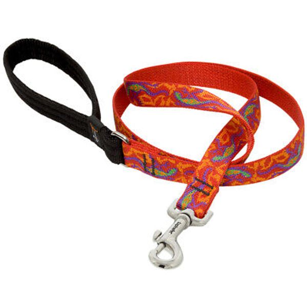 Lupine Pet 41009 Go Go Gecko Design Dog Leash 6 ft. x 3/4 in. with Padded Handle