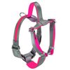 Bella and Max USB LED Lighting Rechargeable Dog Harness - Rose - Medium