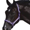 Roma Halter & Lead Set, Red/Navy, Cob