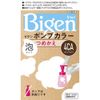 Bigen Pump Color, 4CA Cafe Brown, Refill (Set of 10)