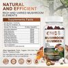 3xMushroom Extract Complex Gummies Lions Mane Chaga Reishi Focus Memory Immunity