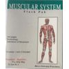 MUSCULAR SYSTEM ANATOMY FLASH CARDS PAK'S by Brian Edwards Publishing