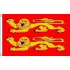 Flagtex Normandy Two Leopards Large Flag
