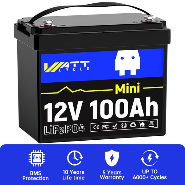 Mini 12V 100Ah LiFePO4 Lithium Battery Deep Cycle for RV Solar Trolling Motor