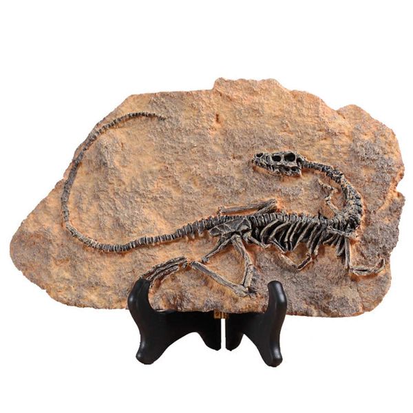 XINDAM Resin Dinosaur Fossil Statue Model Simulated Skeleton Home Office Display Decorative Craft Box Decoration (Style 1)