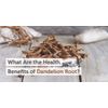 Antioxidant powder drink - DANDELION ROOT 2B - dandelion root pills organic