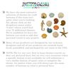Buttons Galore Beach Treasures, Multi-Colour, 0.6