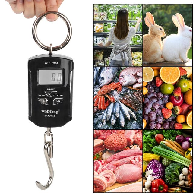 200kg 50g Crane Scale Weight Digital Scale Heavy Duty Hanging Hook Scales  Portable Digital Stainless Steel Scales - AliExpress