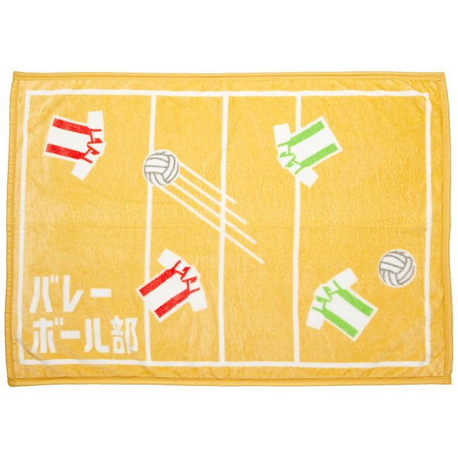 Marushin 0605006600 Volleyball Section, H27.6 x 39.4 inches (70 x 100 cm), Polyester