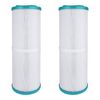 Hurricane 2 Pack HF4H949-01 Advanced Pool and Spa Filter Cartridge Replacement